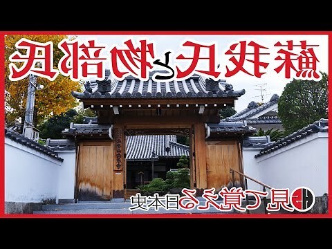 丁未 男